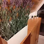 Eulenburg Am Reuthsee - Nurdachhaus Zwischen Rhoen & Hassbergen * Sulzdorf an der Lederhecke
